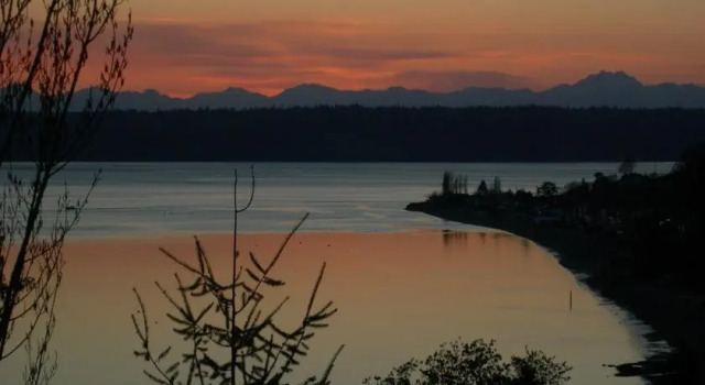桑德芙住宿加早餐酒店(Soundview Cottage B&B), Book Feriehus Burien Washington