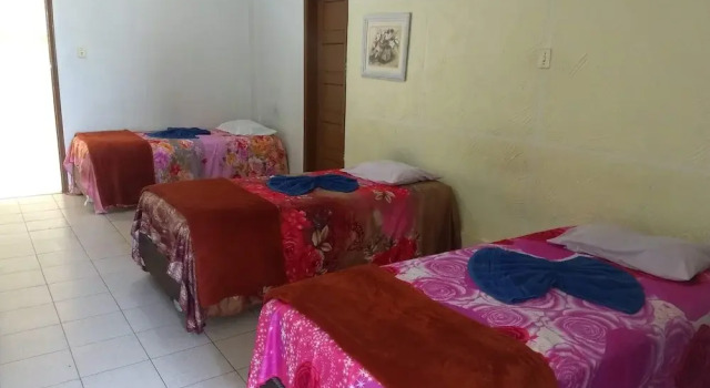 Номер Standard Hotel Fenix