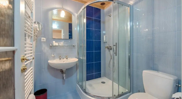 Номер Standard Hotel Zlatý Orel