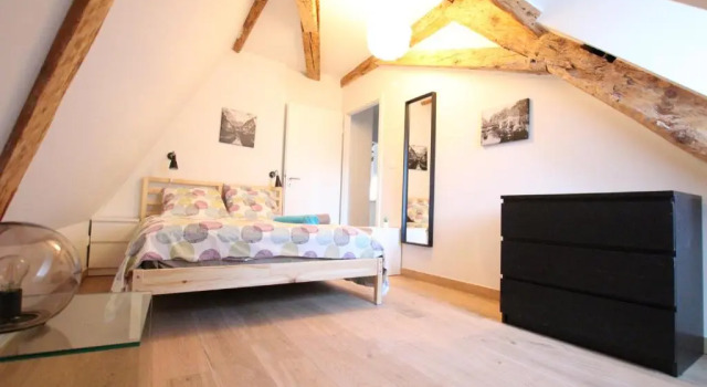 Colmar Historic Center - BELLE ALSACE 5 - 4 étoiles, Book Hotel Colmar 