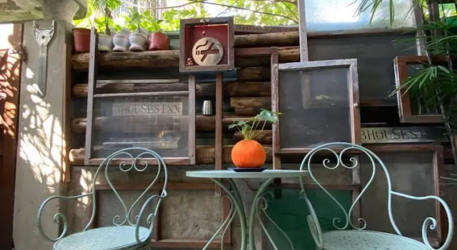 Номер Economy Time Tree House