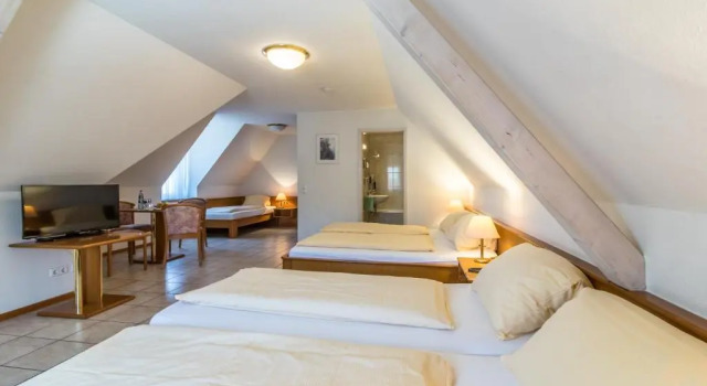 Четырёхместный номер Standard Hotel Löwen Garni