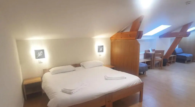 Люкс Complexe Hôtelier Le Forez