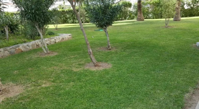 Апартаменты Study Near Malaga And The Beach