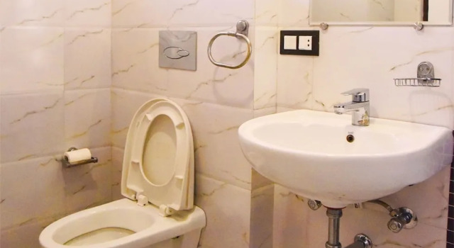 Двухместный номер Deluxe Hotel Shivani Udaipur