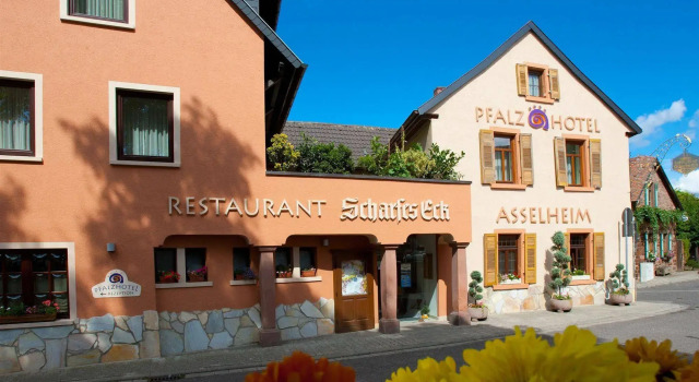 Pfalzhotel Asselheim, Забронировать Отель Отели Wine Route по системе «всё включено», Всё включено