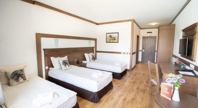 Номер Deluxe Boutique Complex Trakiets