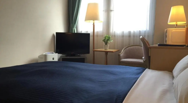 Номер Deluxe HOTEL LiVEMAX Sapporo Ekimae