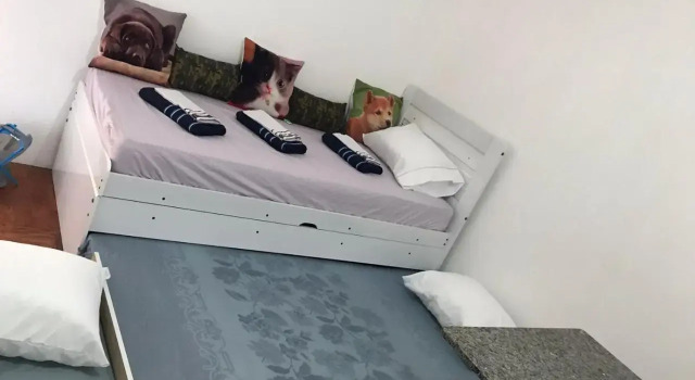 Estúdio 73