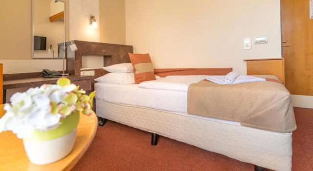 Одноместный номер Classic с видом на озеро Hotel Spa Hévíz