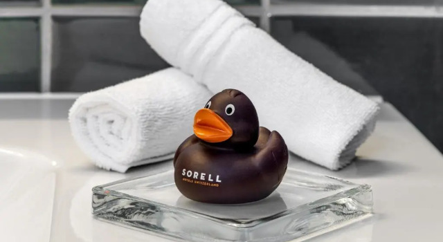 Двухместный номер Standard Sorell Boutique-Hotel City Weissenstein St Gallen