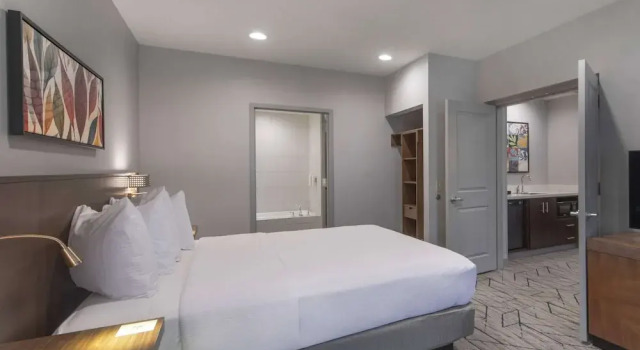 Люкс Hilton Garden Inn Raleigh Cary