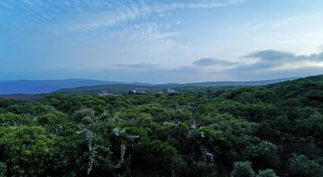 Shindola Residency