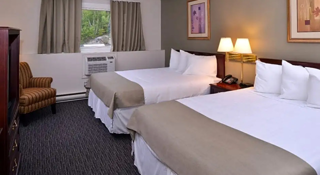 Standardní Čtyřlůžkový pokoj Cardinal Inn