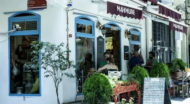 Mahmures House