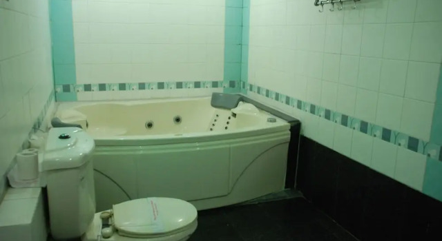 Люкс Hotel Ganga Ratan