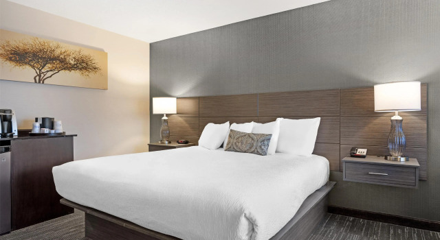 Двухместный номер Standard Best Western Plus City Center