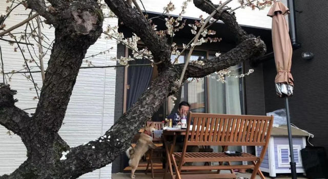 Номер Deluxe Guesthouse Gifu SUAI