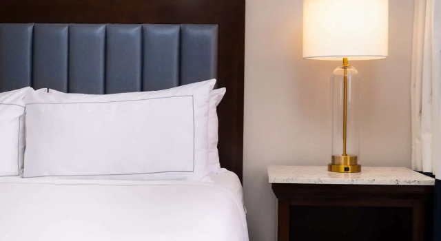 Двухместный номер DoubleTree by Hilton Houston Medical Center Hotel & Suites