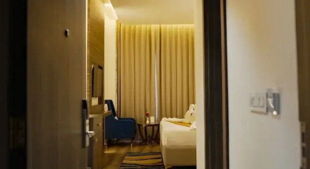 Номер Deluxe Park Regency