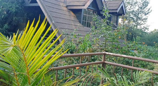 The Annex at 64 : Cozy, rustic cottage/treehouse, Book Vacation Home Cottages in Nairobi, Cottage