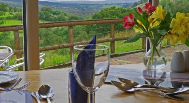 Llanerchindda Farm Guest House, Забронировать Фермерский дом Лланфэр-ар-и-брин Южный Уэльс
