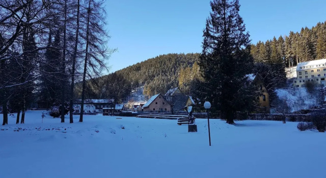 Апартаменты Alpine Stay in Wildemann
