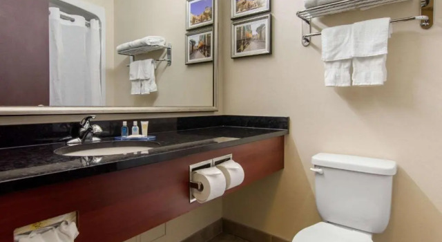 Люкс Deluxe Comfort Inn & Suites