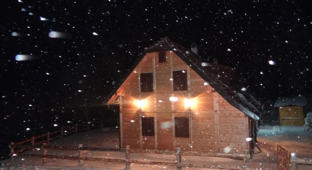 Коттедж Vila Dizdarevic Kopaonik