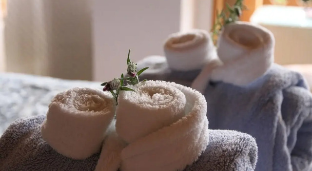 Люкс Deluxe Chalet Romantica