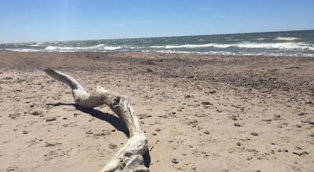 Pape Rogas, Reserva ahora Hotel Hoteles en Golfo de Riga con aparcamiento, Aparcamiento