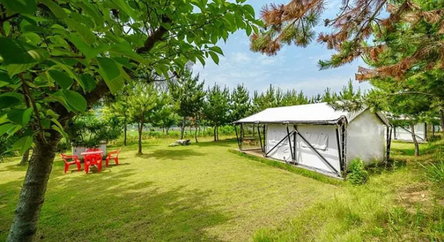 seocheon paintree glamping, Reserva ahora Camping Camping y glamping en Chungcheongnam-Do, Camping