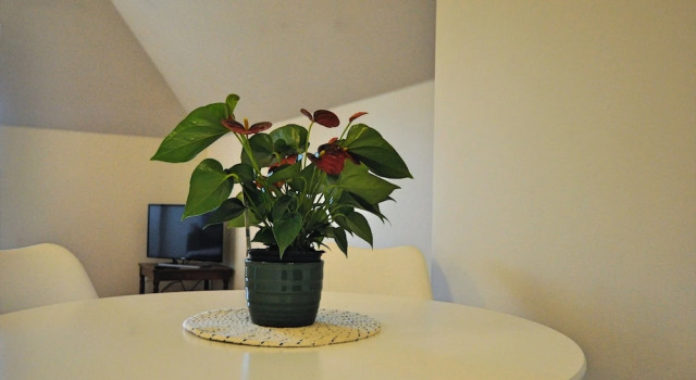Семейный номер Standard с балконом Warkworth Lodge
