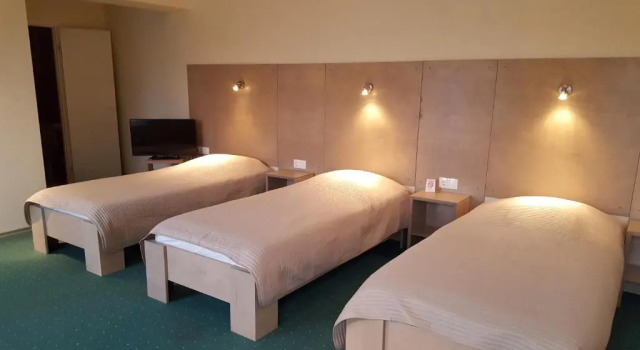 Номер Standard Hotel Gulbene