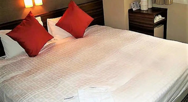 Двухместный номер Eco Plan Pearl Hotel Ryogoku
