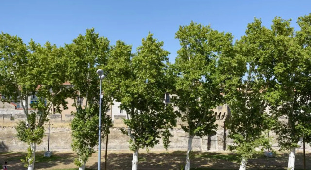 Студия ibis Avignon Centre Pont De LEurope