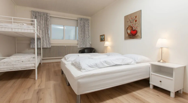 Номер Comfort Ljosafoss Lake Guest House