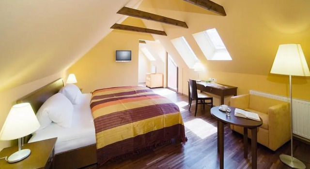 Номер Standard Hotel Sporer