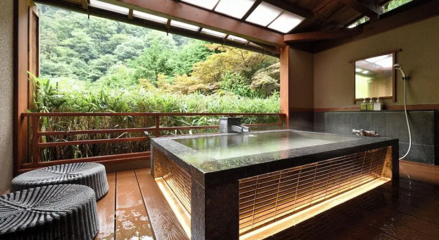 Номер Standard Tonosawa Onsen Yamano Chaya Ryokan