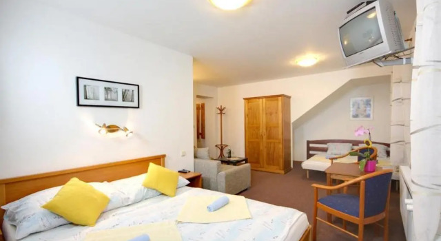 Номер Standard Pension Harrachov