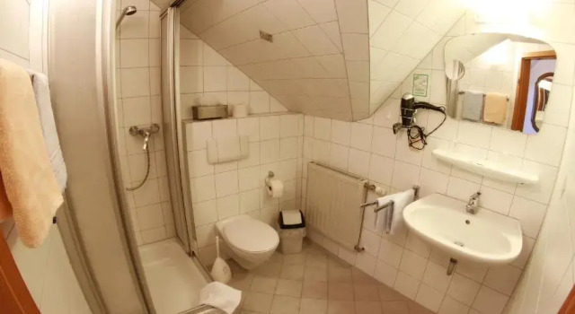 Номер Standard Hotel Haus Christel