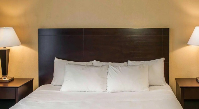 Двухместный люкс c 1 комнатой Comfort Suites Lafayette University Area