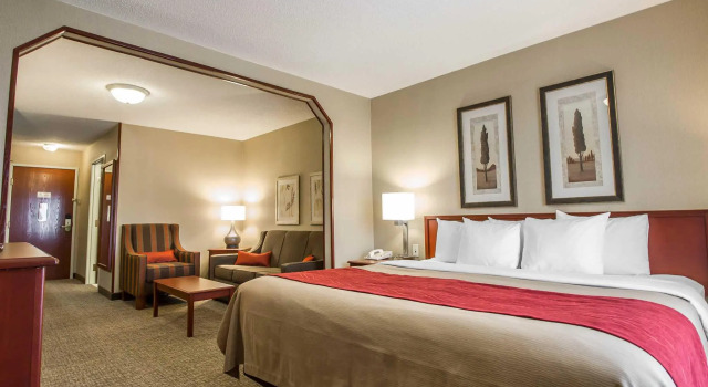 Люкс Comfort Inn & Suites Rapid City South - Mt Rushmore Gateway