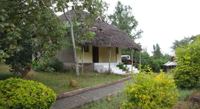 Colobus Mountain Lodge