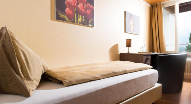 Одноместный номер Comfort с видом на Хардер Jungfrau Hotel