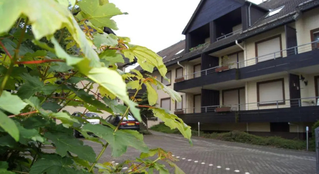 Winterberg Appartement 21077