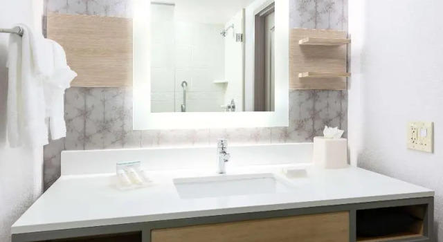 Номер Premium Hilton Garden Inn Greenville