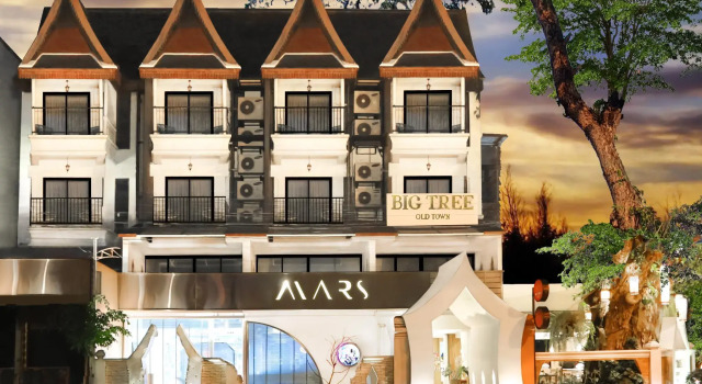 Семейный номер Standard с балконом Big Tree Old Town Hotel