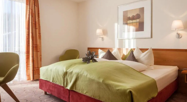 Номер Deluxe Hotel Waldhorn