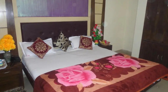 Номер Deluxe HOTEL DARPAN PALACE -New Delhi Railway Station